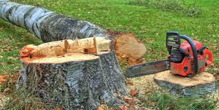 Best Tree Mulching  in Wellsville, UT