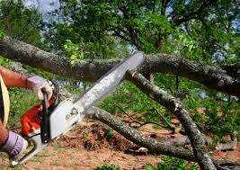 Best Aeration Services  in Wellsville, UT