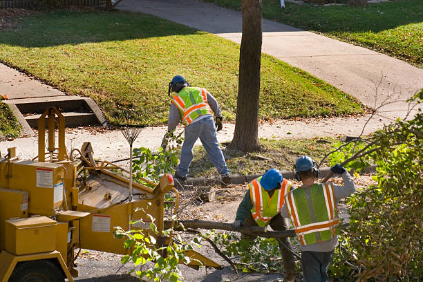 Best Lawn Watering Services  in Wellsville, UT